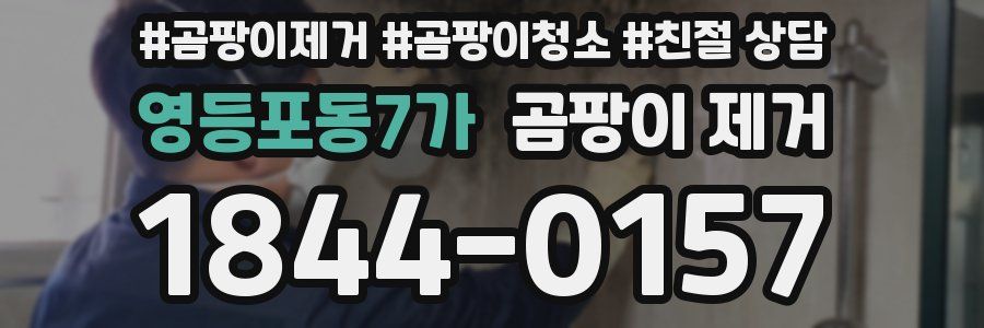 영등포동7가 곰팡이 제거