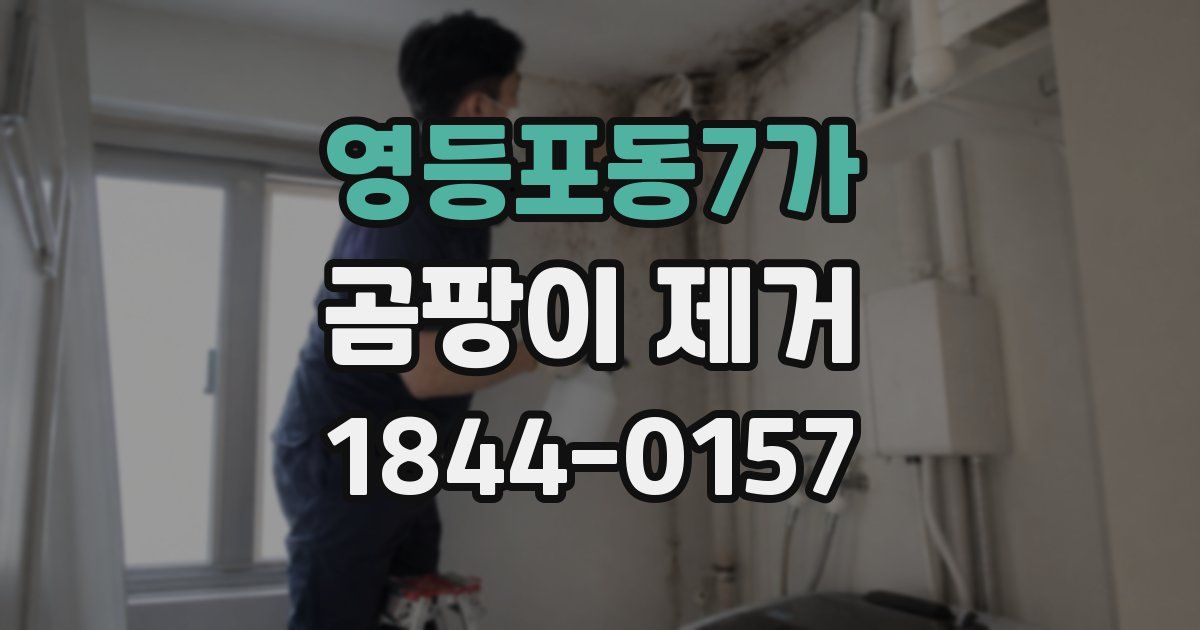 영등포동7가 곰팡이 제거