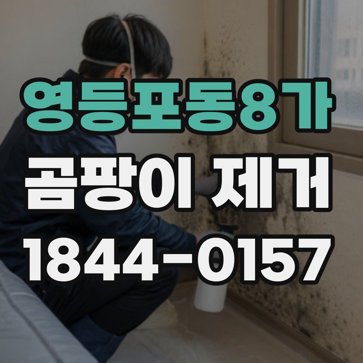 영등포동8가 곰팡이 제거