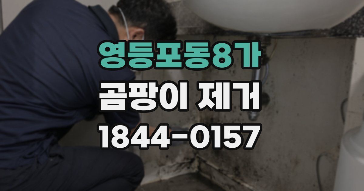 영등포동8가 곰팡이 제거