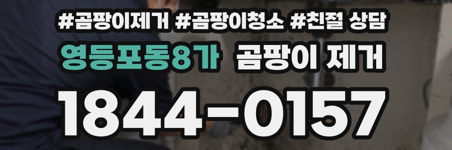 영등포동8가 곰팡이 제거