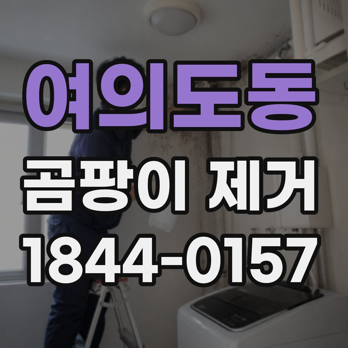 여의도동 곰팡이 제거