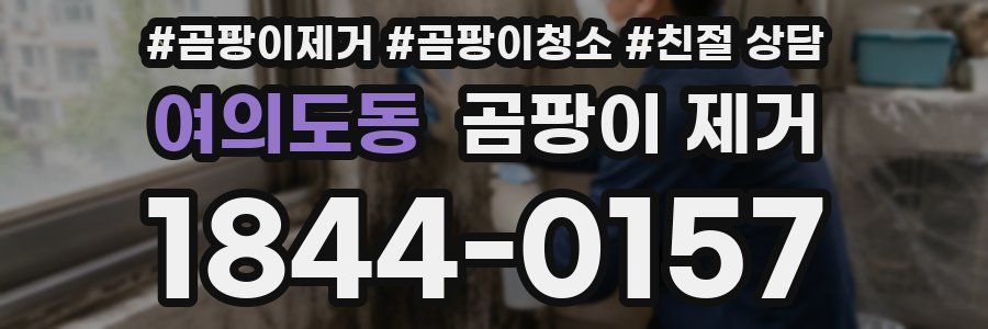 여의도동 곰팡이 제거