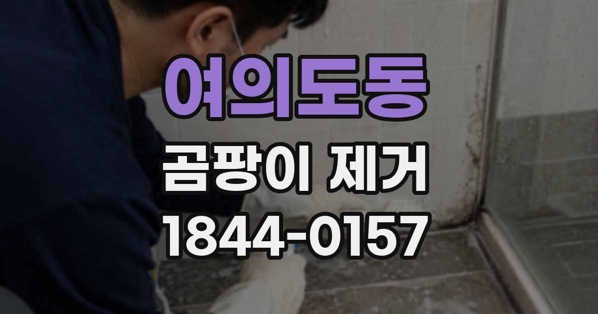 여의도동 곰팡이 제거