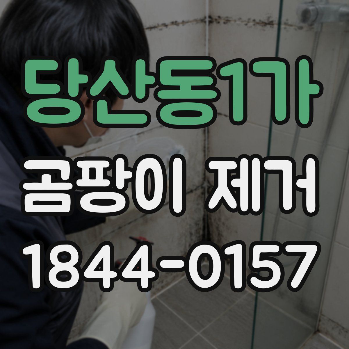 당산동1가 곰팡이 제거