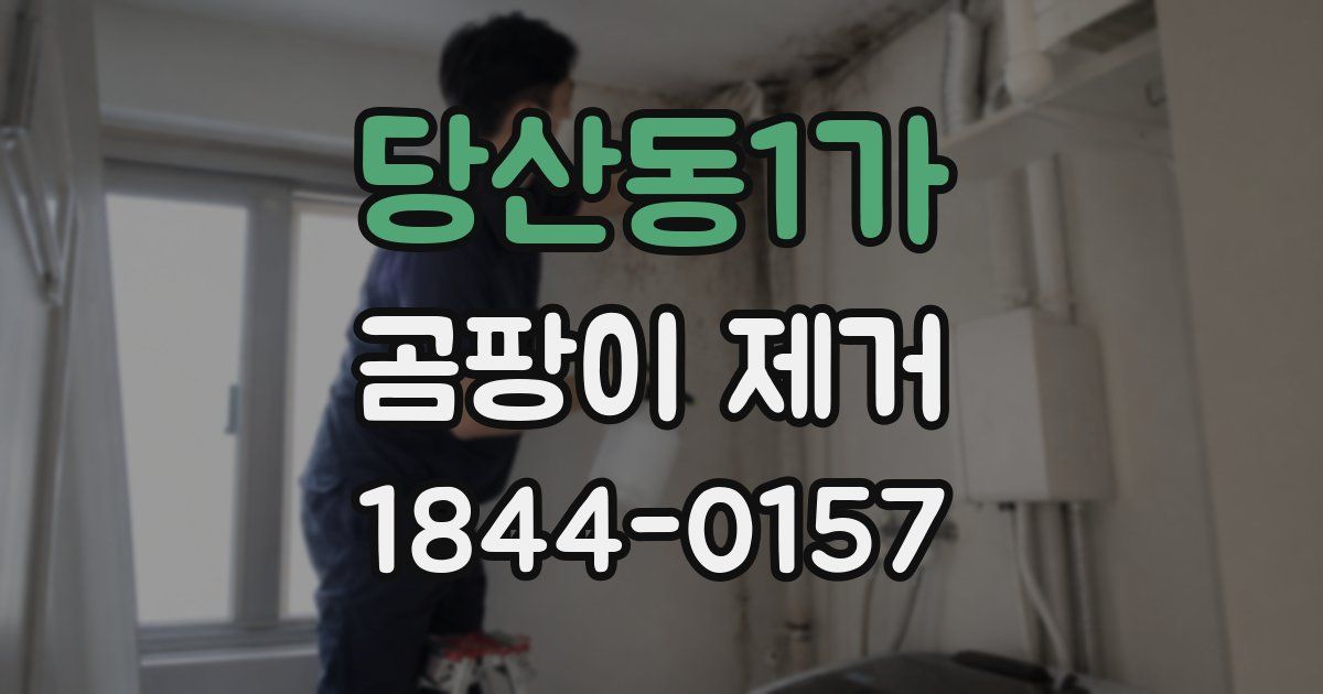 당산동1가 곰팡이 제거