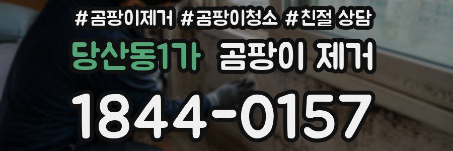 당산동1가 곰팡이 제거