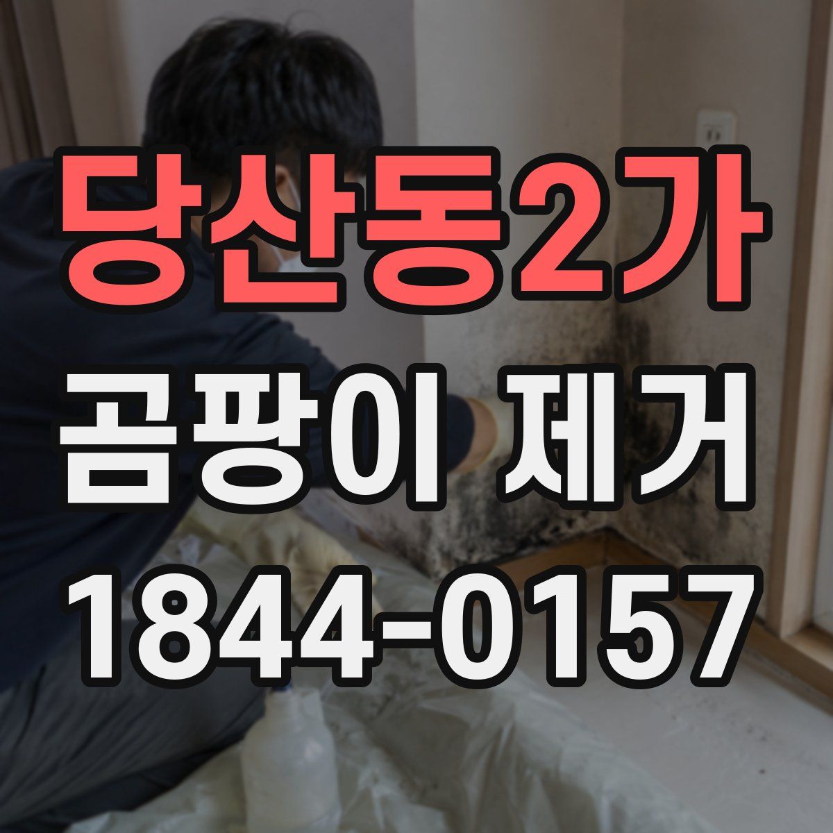 당산동2가 곰팡이 제거