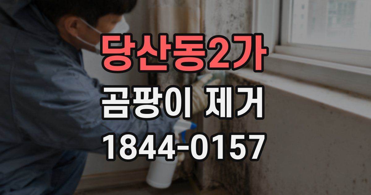 당산동2가 곰팡이 제거