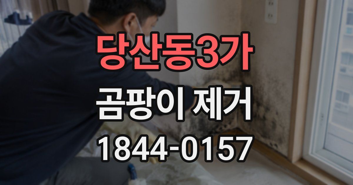 당산동3가 곰팡이 제거