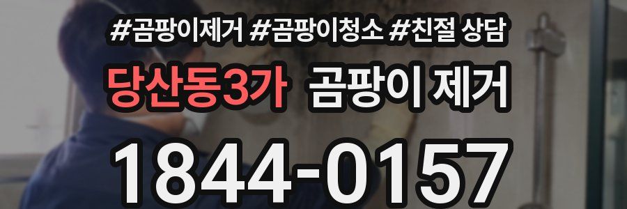 당산동3가 곰팡이 제거