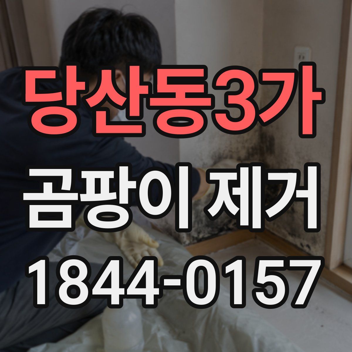 당산동3가 곰팡이 제거