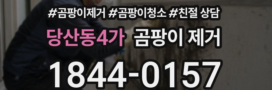 당산동4가 곰팡이 제거