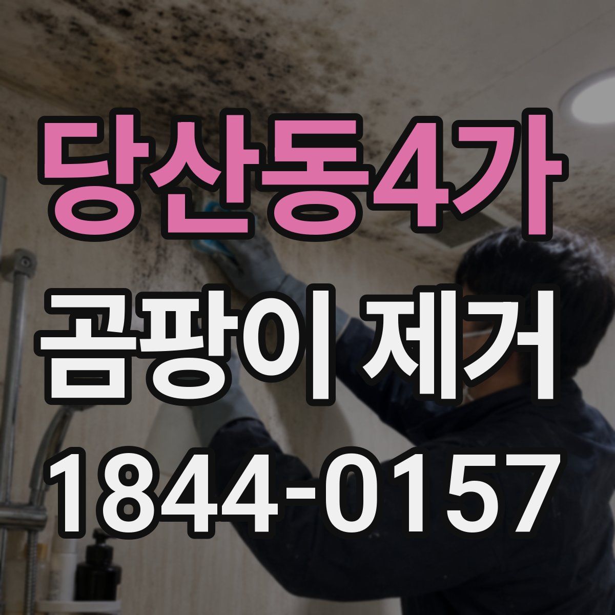 당산동4가 곰팡이 제거