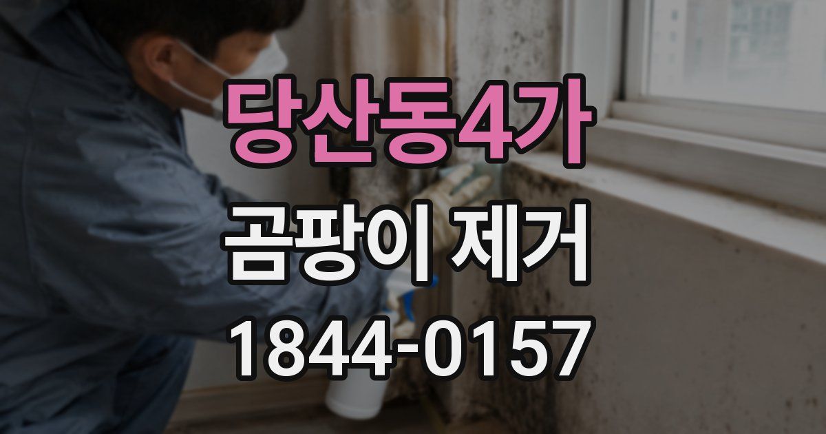 당산동4가 곰팡이 제거