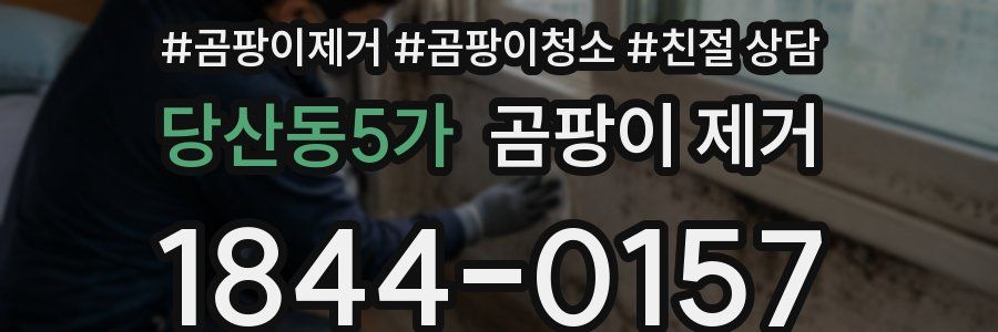 당산동5가 곰팡이 제거