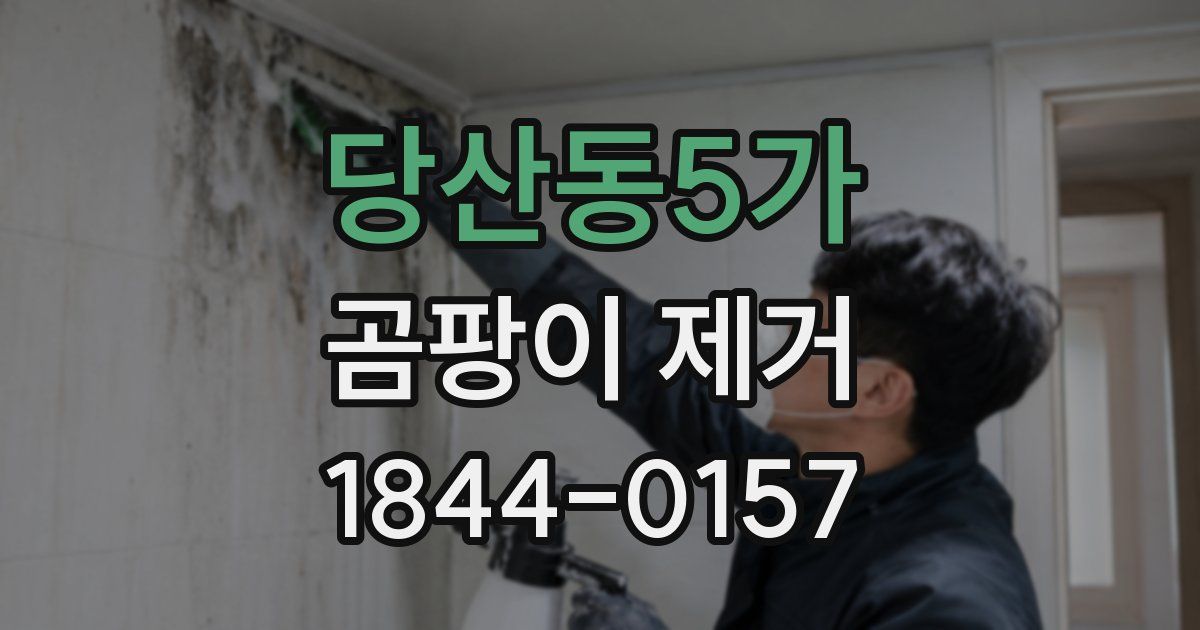 당산동5가 곰팡이 제거