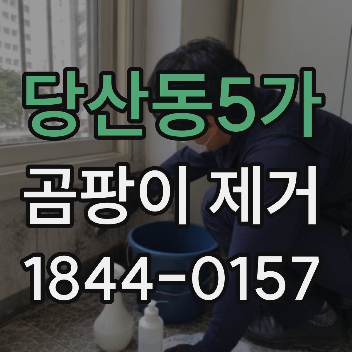 당산동5가 곰팡이 제거