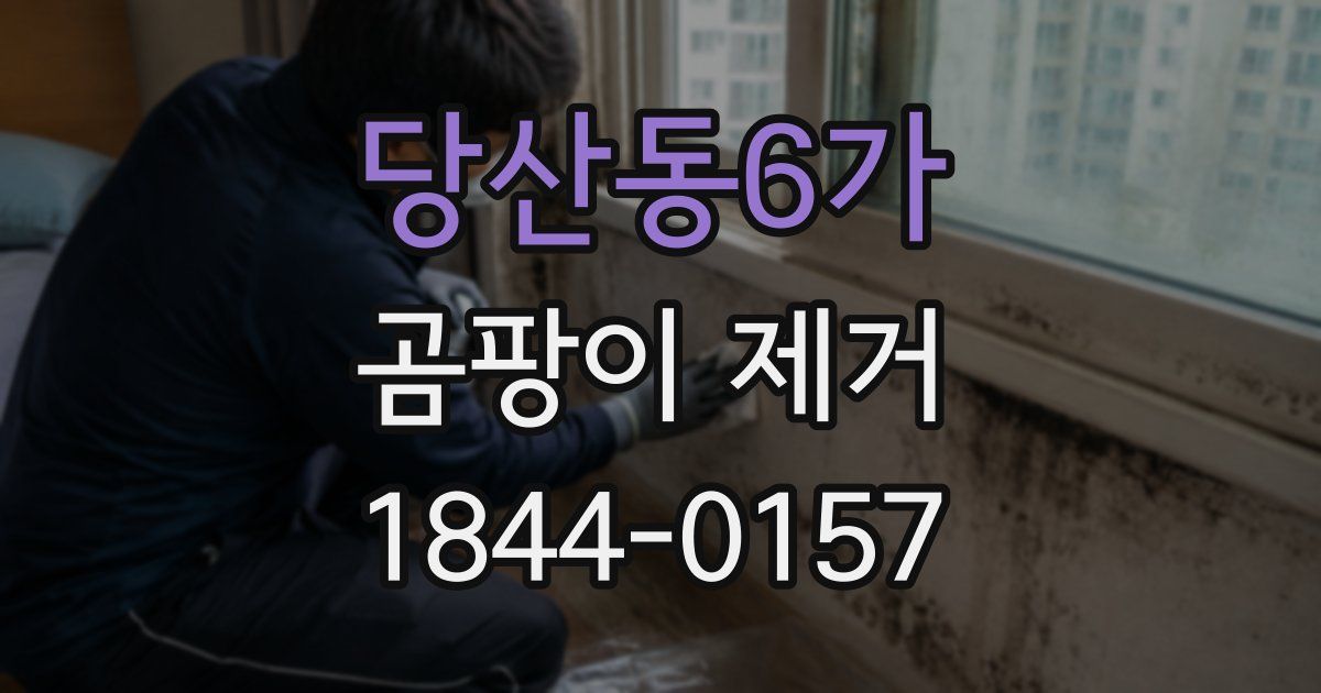 당산동6가 곰팡이 제거