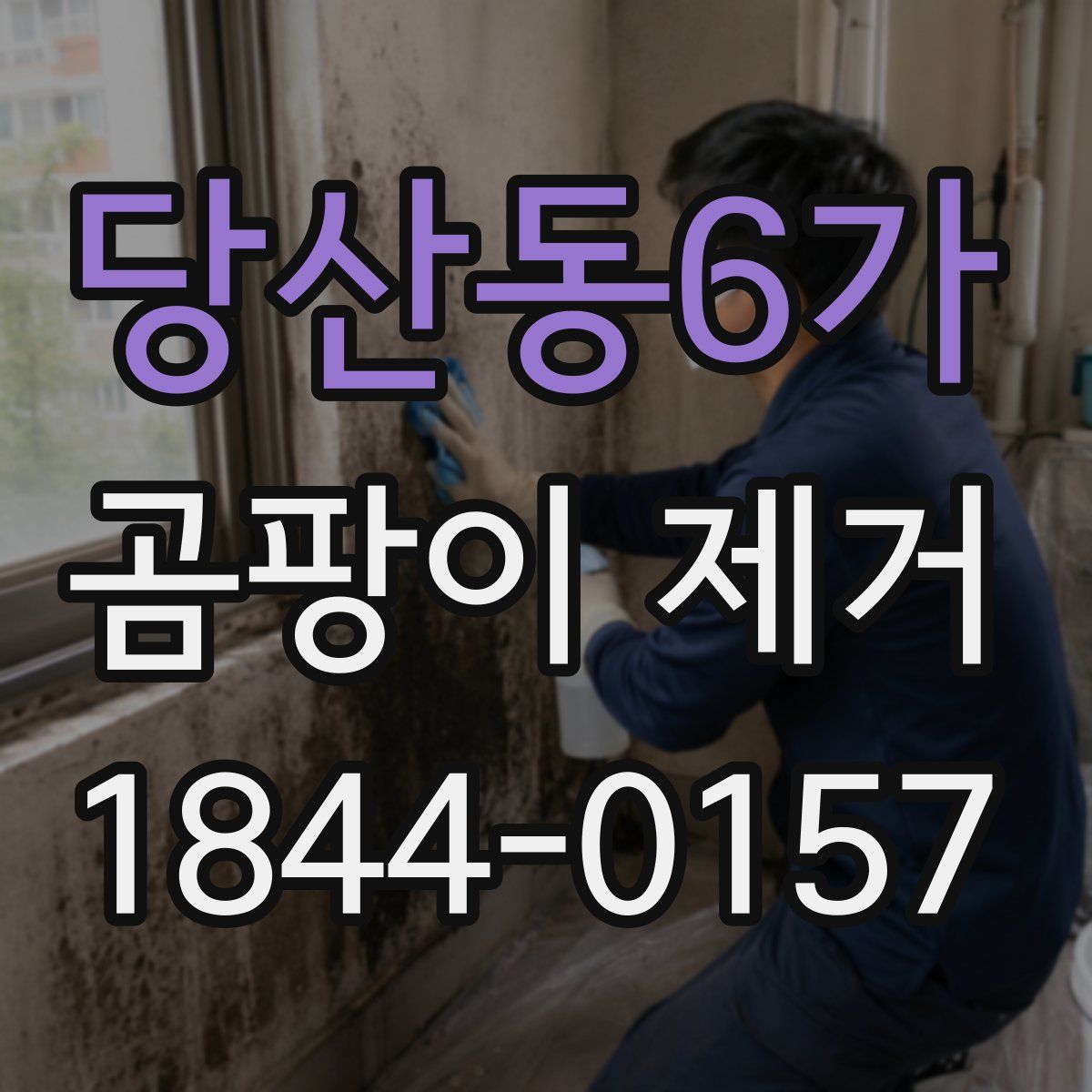 당산동6가 곰팡이 제거