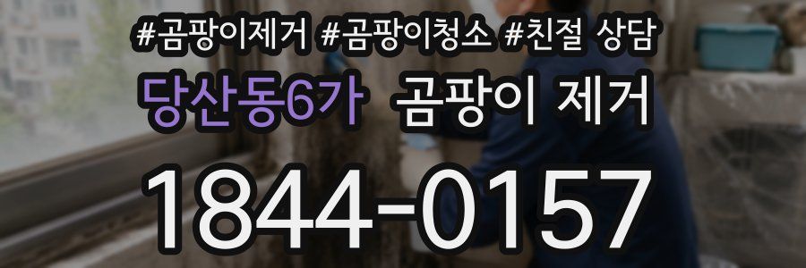 당산동6가 곰팡이 제거