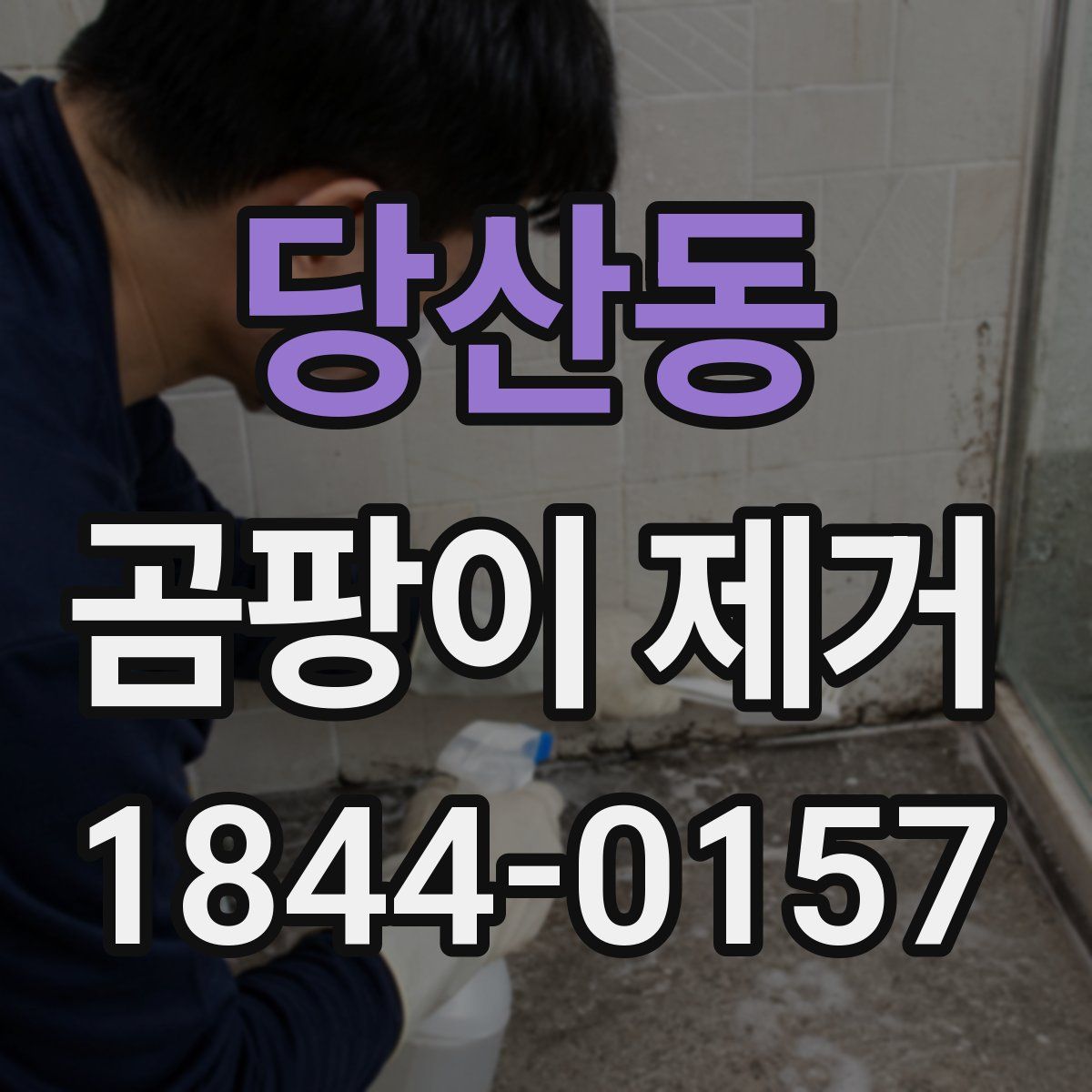 당산동 곰팡이 제거