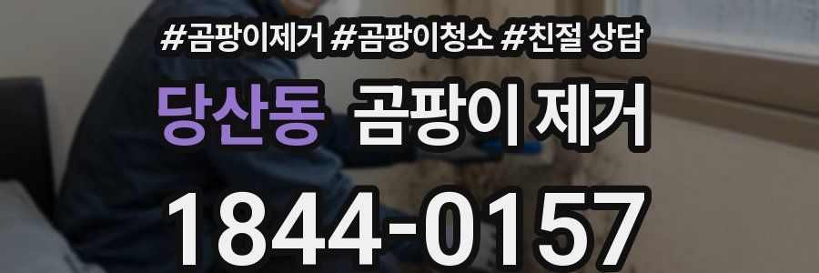 당산동 곰팡이 제거