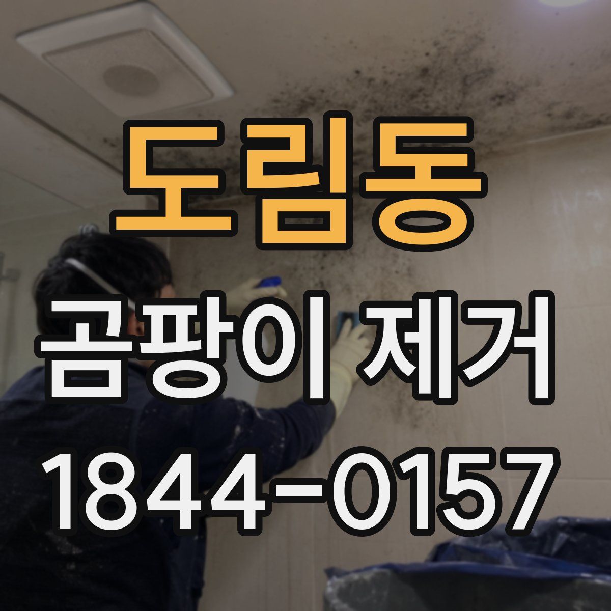 도림동 곰팡이 제거