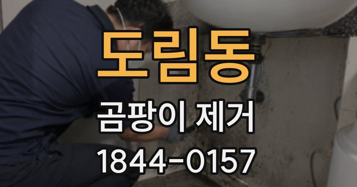 도림동 곰팡이 제거