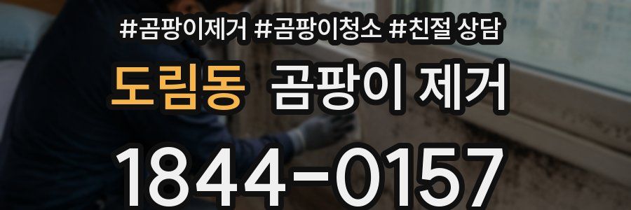 도림동 곰팡이 제거