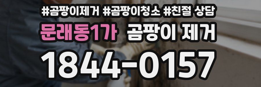 문래동1가 곰팡이 제거