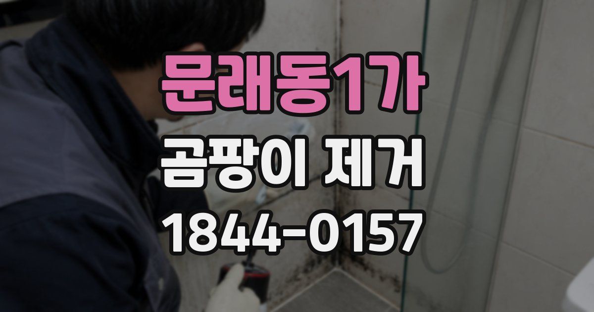 문래동1가 곰팡이 제거