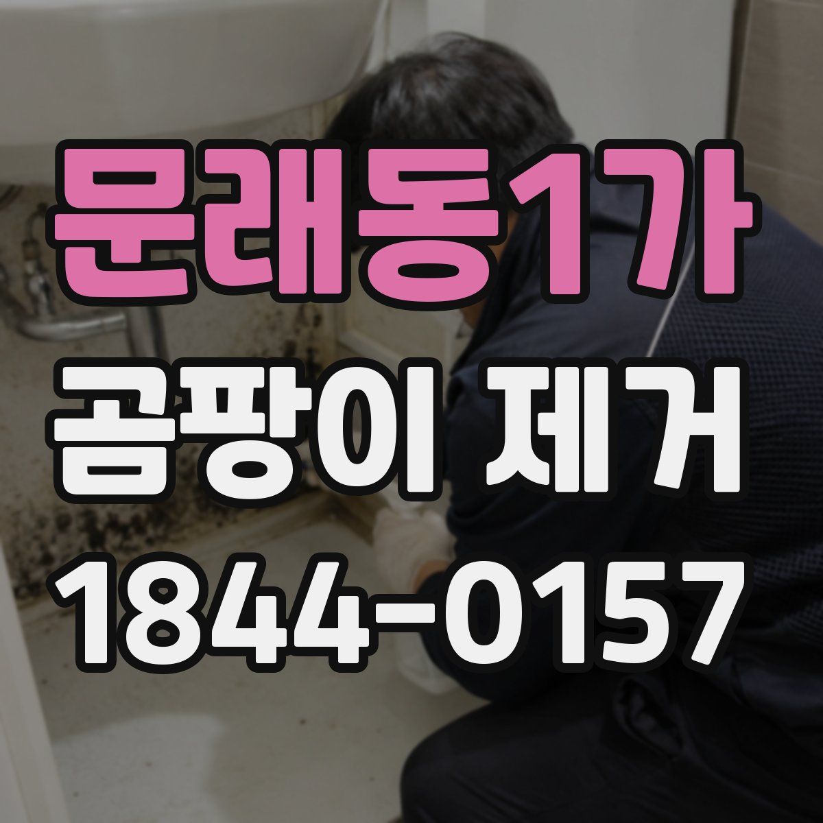 문래동1가 곰팡이 제거