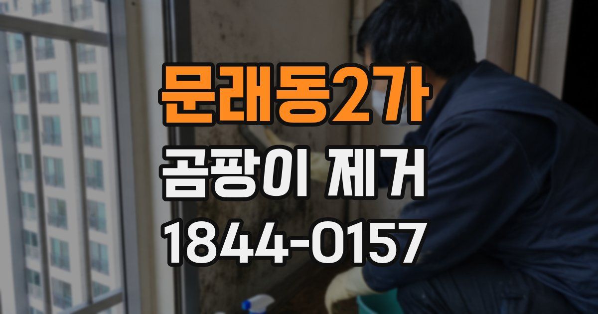 문래동2가 곰팡이 제거