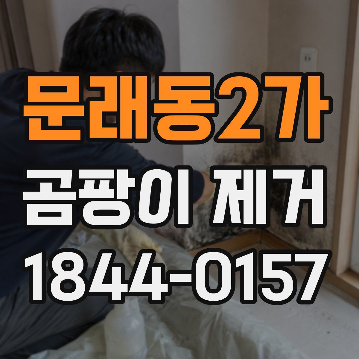 문래동2가 곰팡이 제거