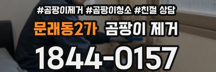 문래동2가 곰팡이 제거