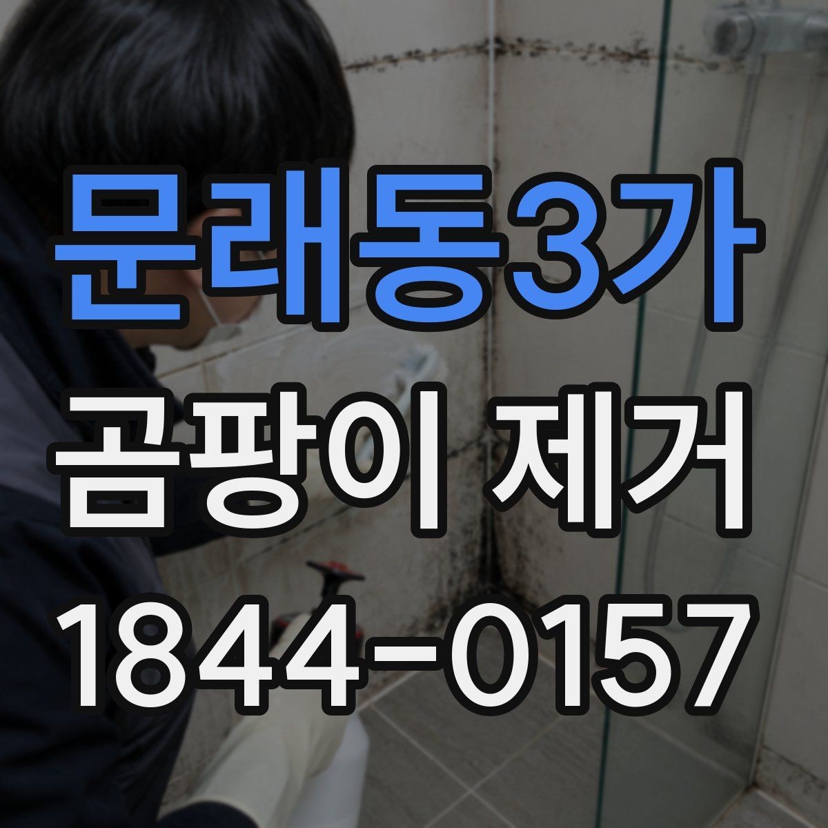 문래동3가 곰팡이 제거 대상이 넓을 때 일정 잡는 방법