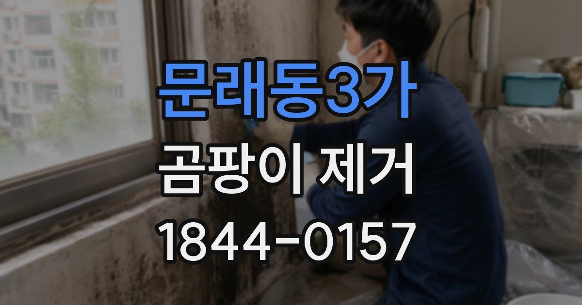 문래동3가 곰팡이 제거