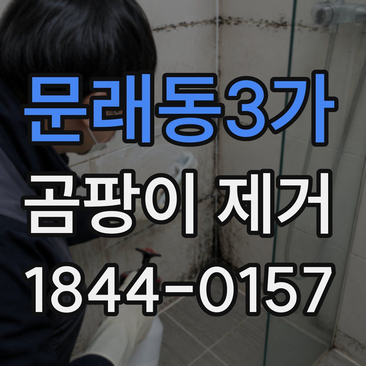 문래동3가 곰팡이 제거