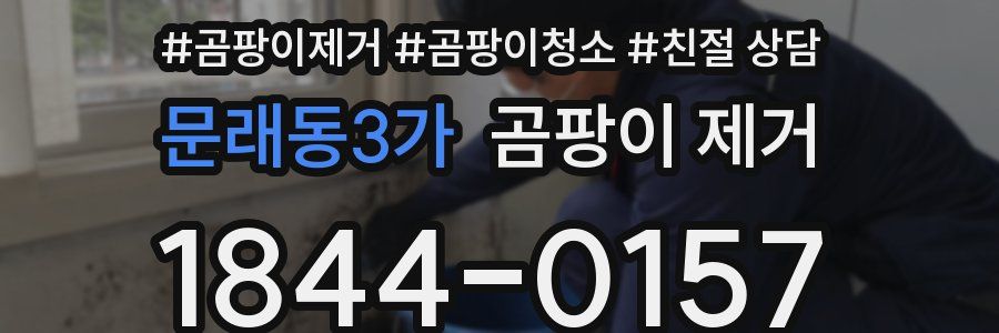 문래동3가 곰팡이 제거