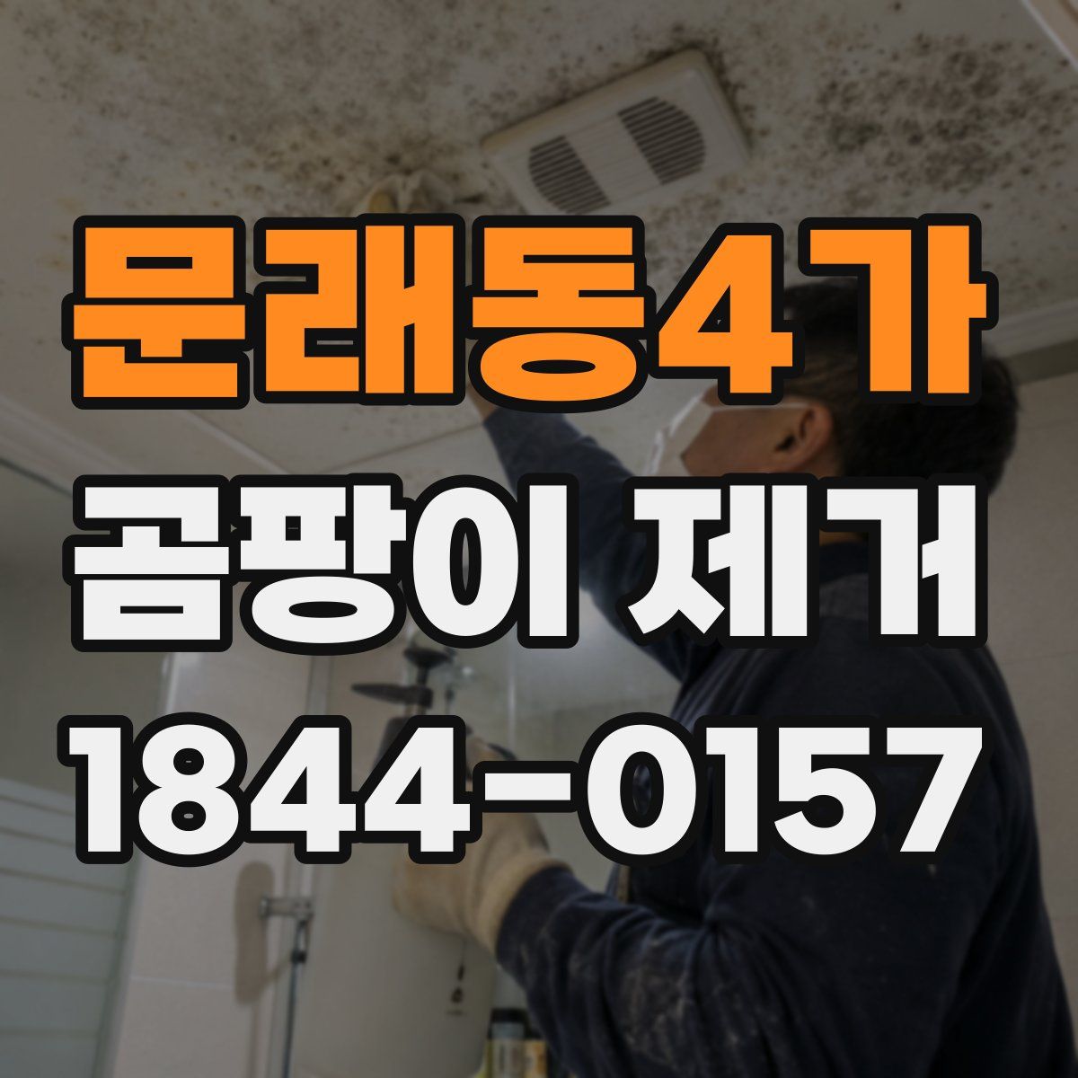 문래동4가 곰팡이 제거