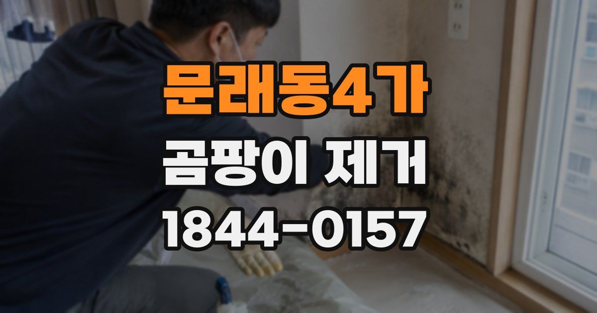 문래동4가 곰팡이 제거