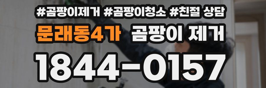 문래동4가 곰팡이 제거