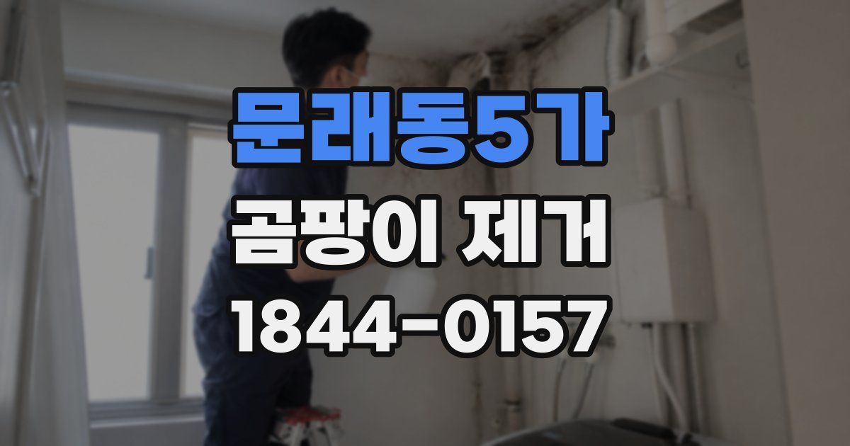 문래동5가 곰팡이 제거