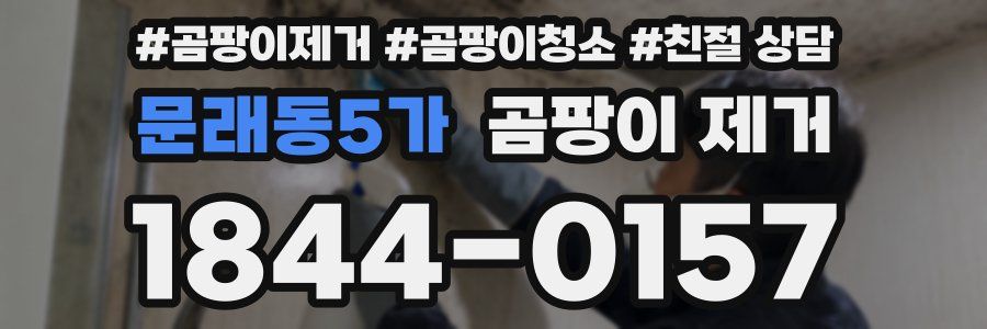 문래동5가 곰팡이 제거