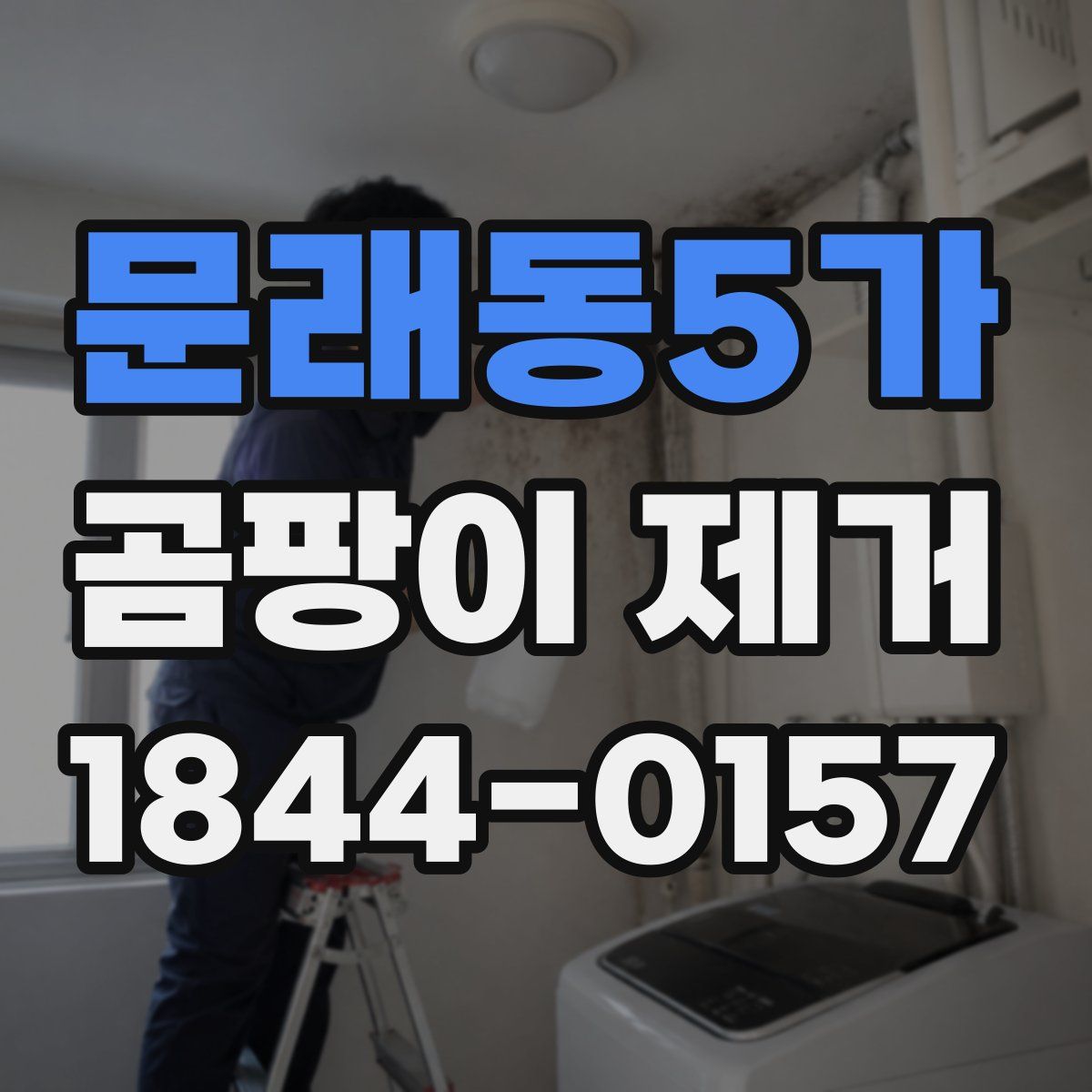 문래동5가 곰팡이 제거