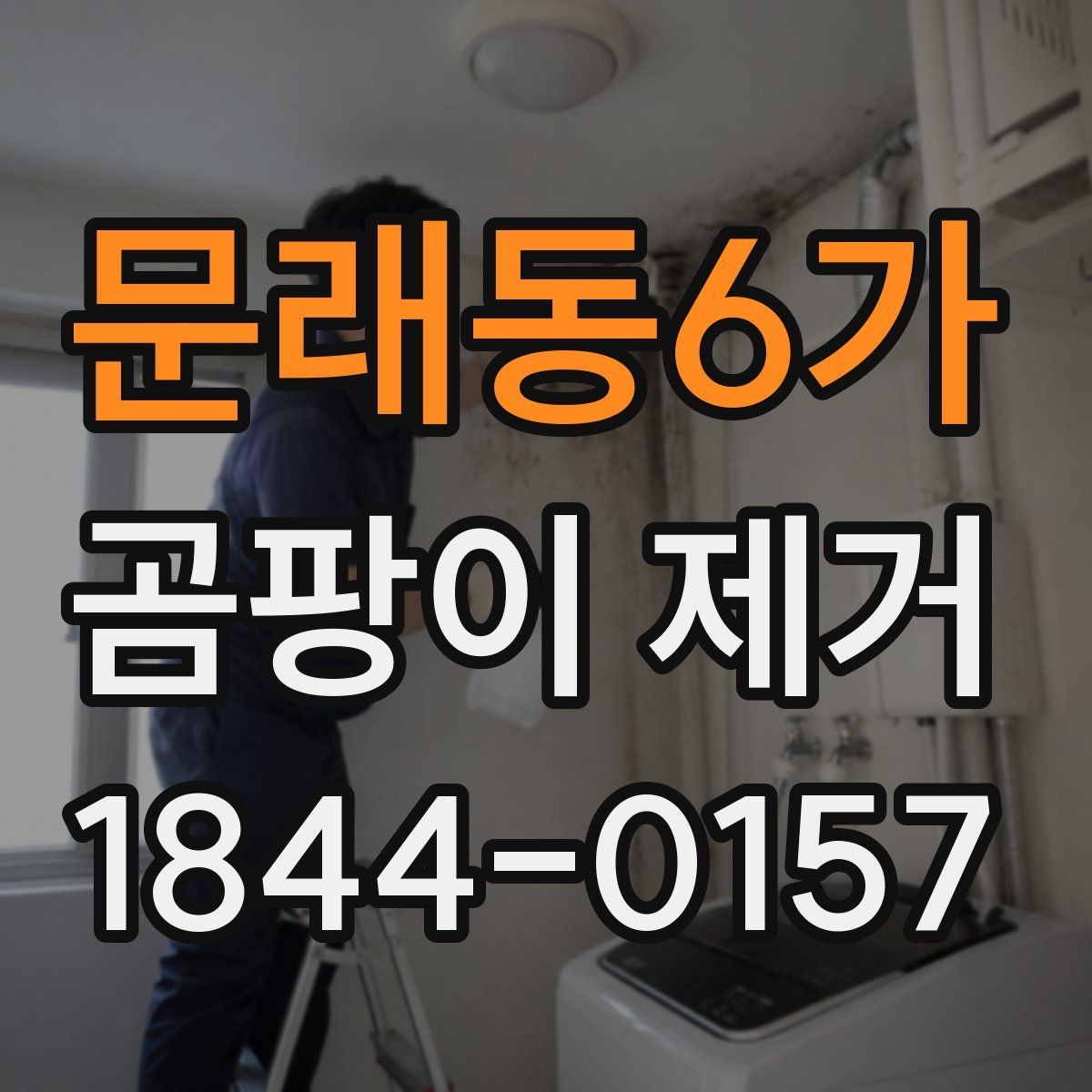 문래동6가 곰팡이 제거 작업 후 바로 확인할 체크리스트