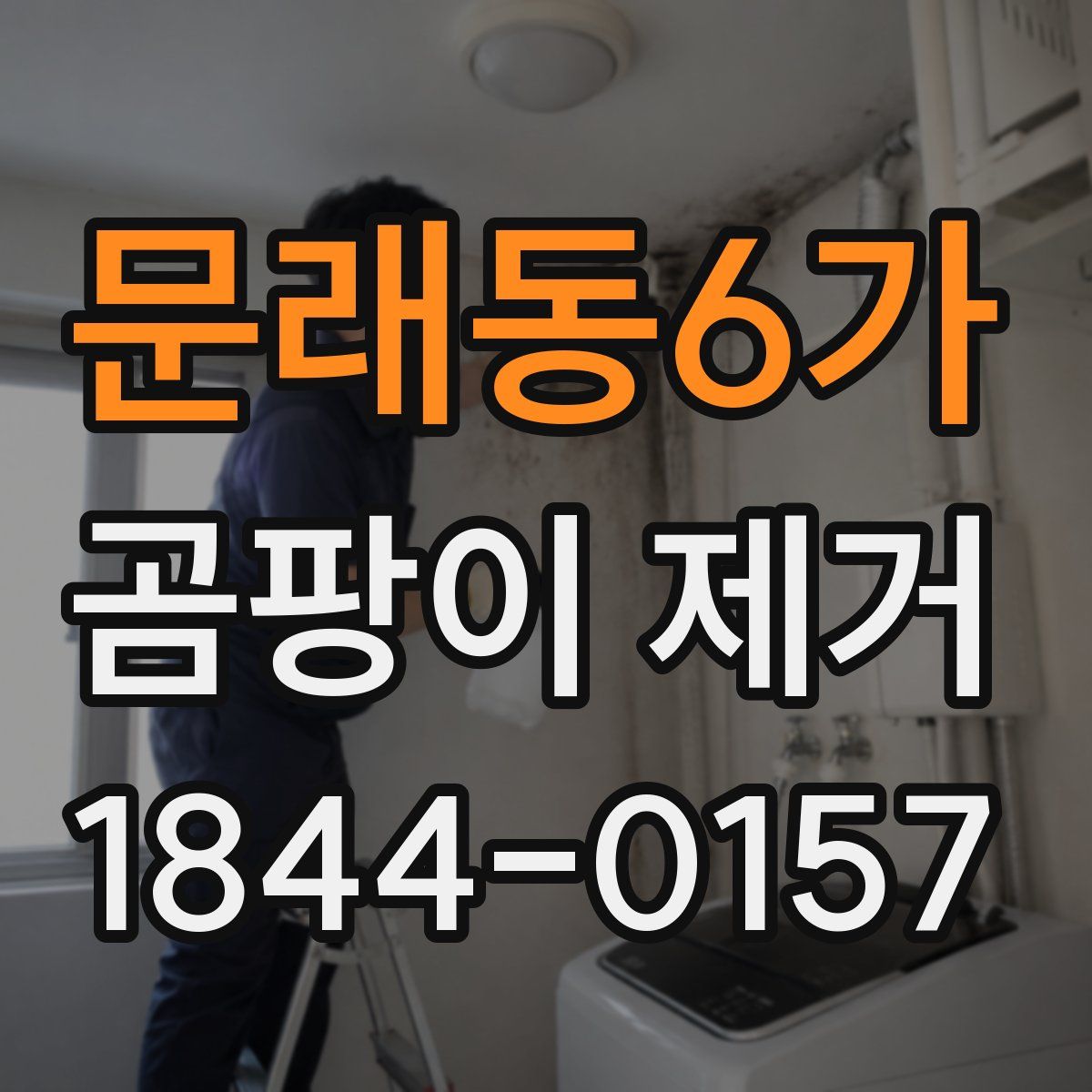 문래동6가 곰팡이 제거