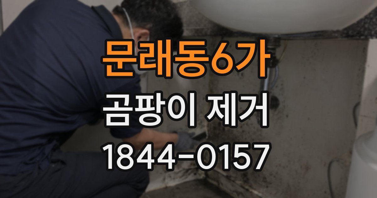 문래동6가 곰팡이 제거