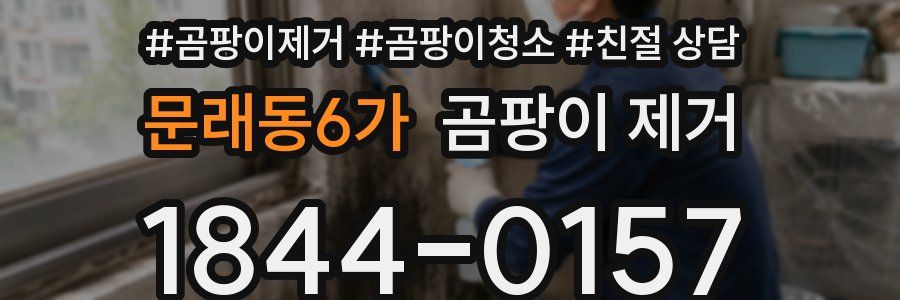 문래동6가 곰팡이 제거